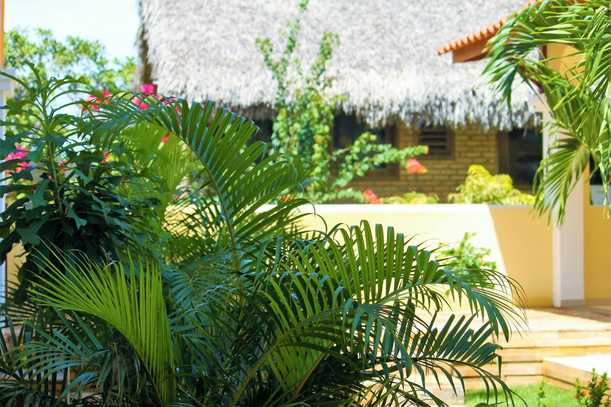 Hotel Villa Beija Flor Jericoacoara Eksteriør billede