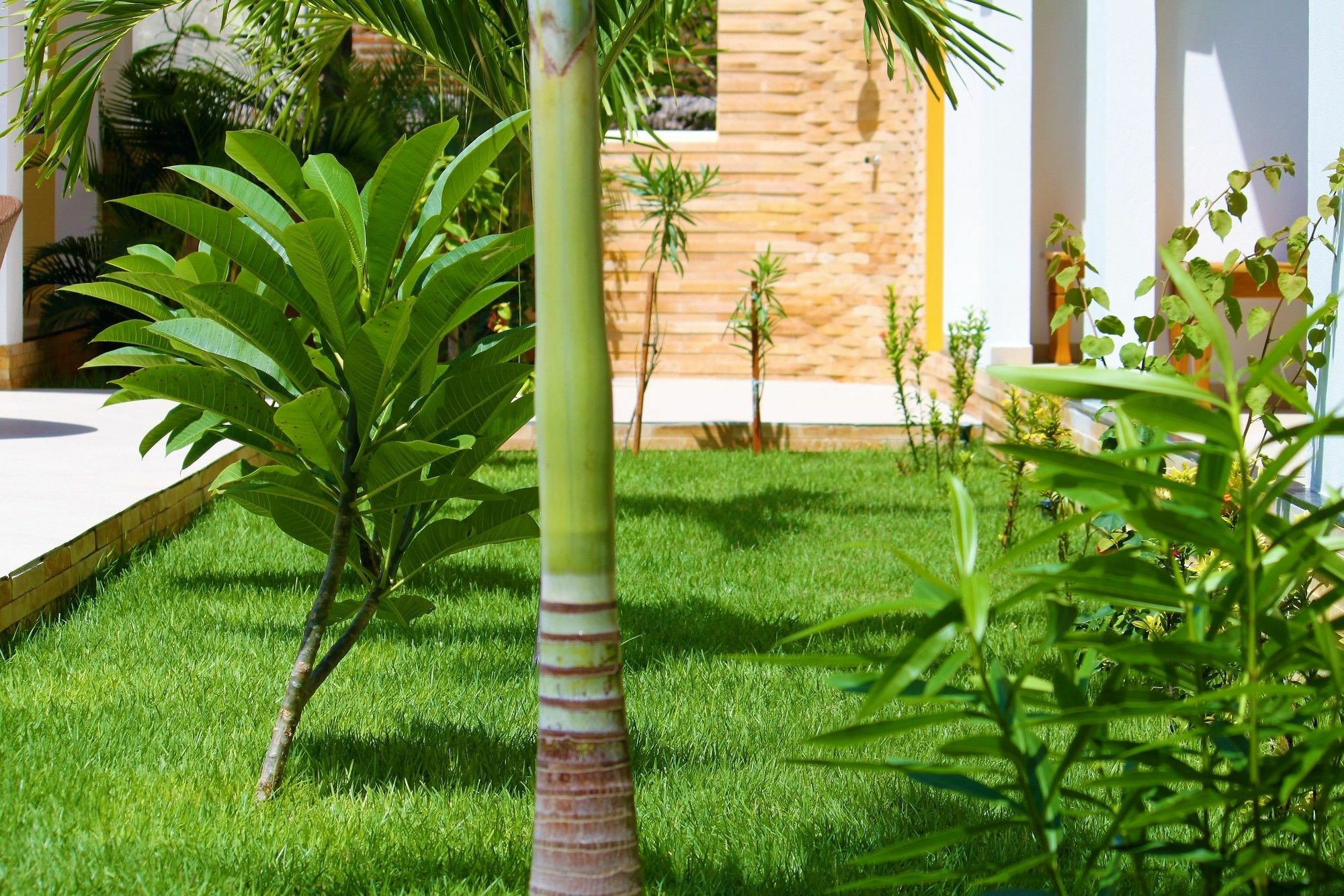 Hotel Villa Beija Flor Jericoacoara Eksteriør billede